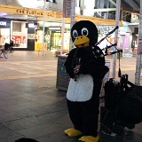 Melbourne Trip (1)  This was a bagpipe playing penguin.  (Video on my YouTube site)
